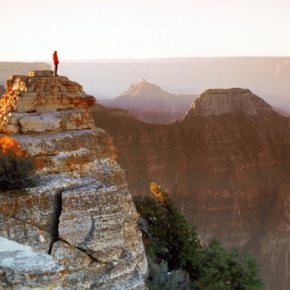 Meet your Posher, Alissa